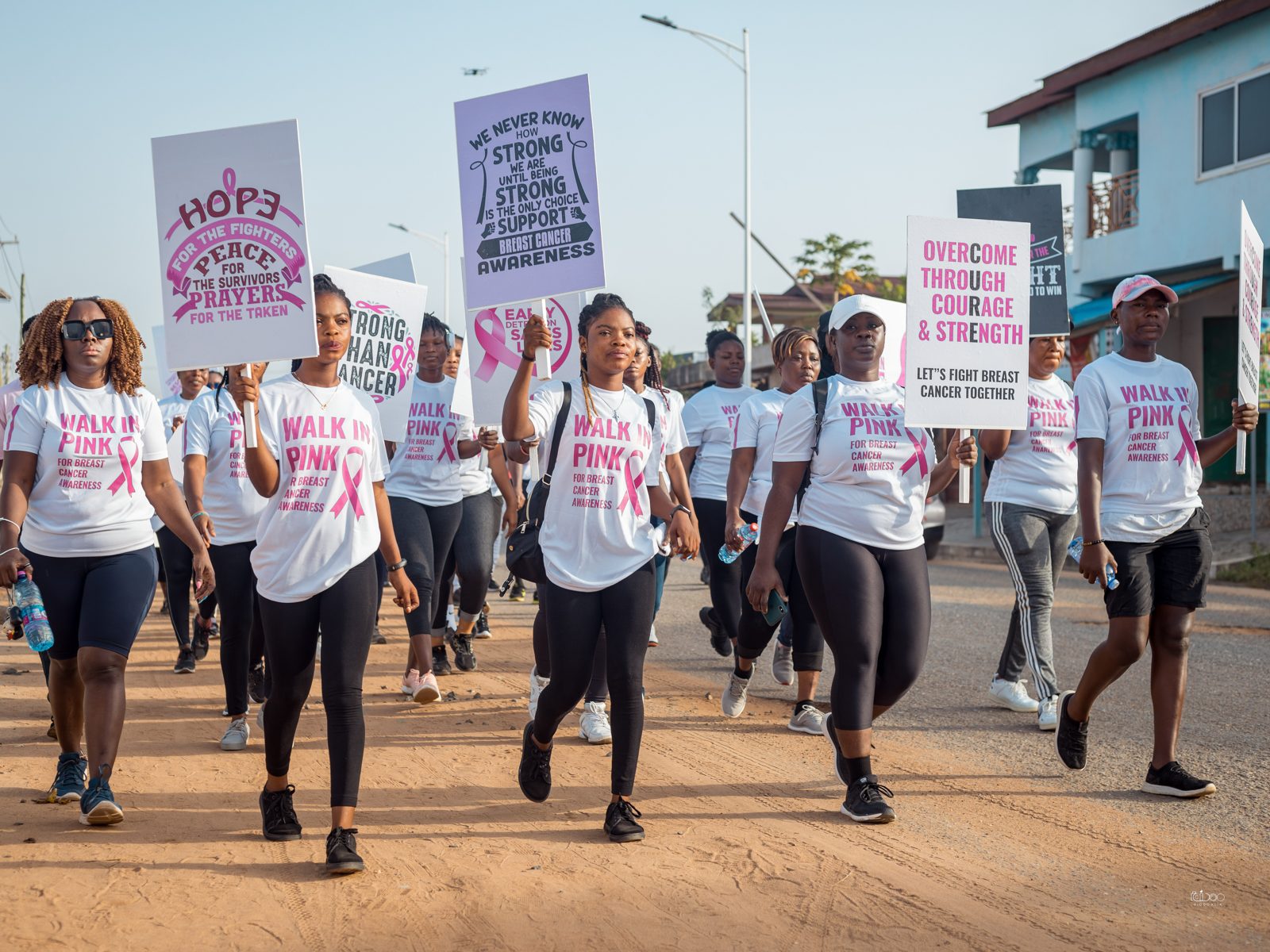 Walk In Pink 1.0